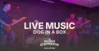 Live Music - Dog In A Box