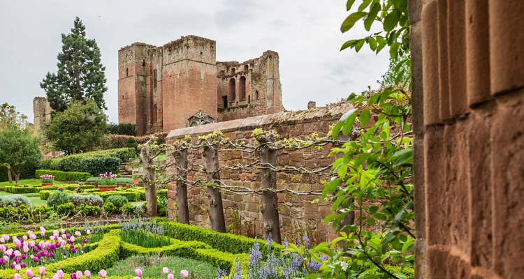 Kenilworth Castle in Warwickshire viewed from the Elizabethan garden, with trailing plants up a castle wall and poppies in bloom.