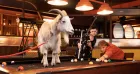 The Lucky Goat