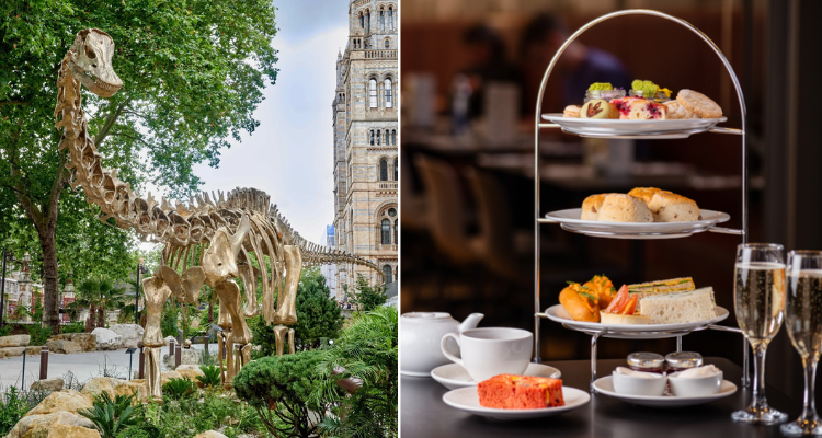 A split image of a dinosaur's skeleton on display in the gardens of The Natural History Museum and an image of a tiered stand with sandwiches, champagne, and tea. 