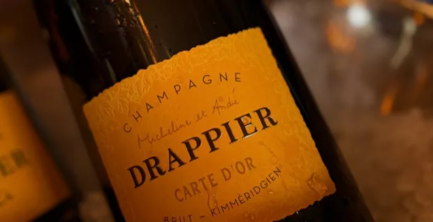 Drappier Champagne Tasting