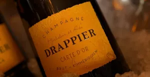 Drappier Champagne Tasting