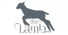 Hannah Morris live at The Lamb!