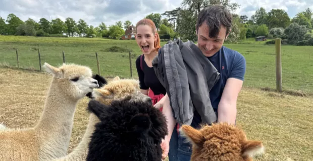 Meet, feed & stroke the London Alpacas herd & their babies