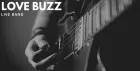 LOVE BUZZ - LIVE BAND