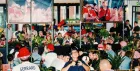 WORLD CUP 2026: WATCH PARTY + BIG SCREENS