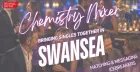 Swansea Summer Chemistry Mixer (Ages 40-55)