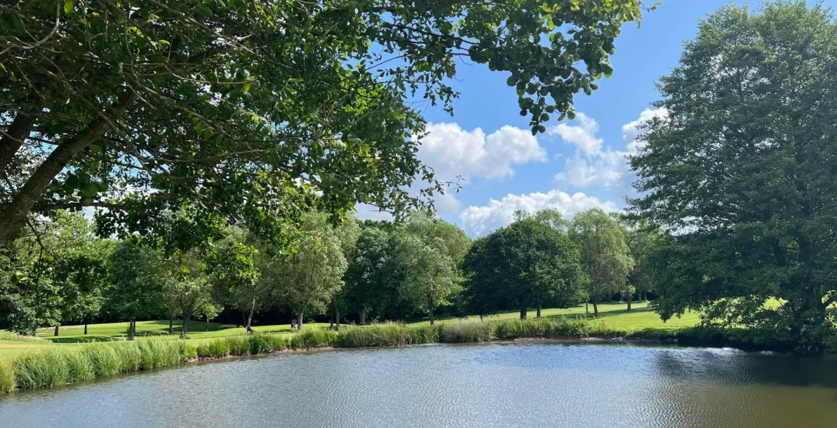 Round of Golf for One