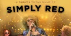 🎵 Simply Red Tribute at Grosvenor Bolton 🎵