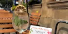 Summer Spritz
