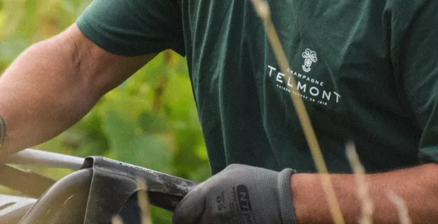 Sip & Shop with Champagne Telmont at The Whisky Exchange Great Portland Street