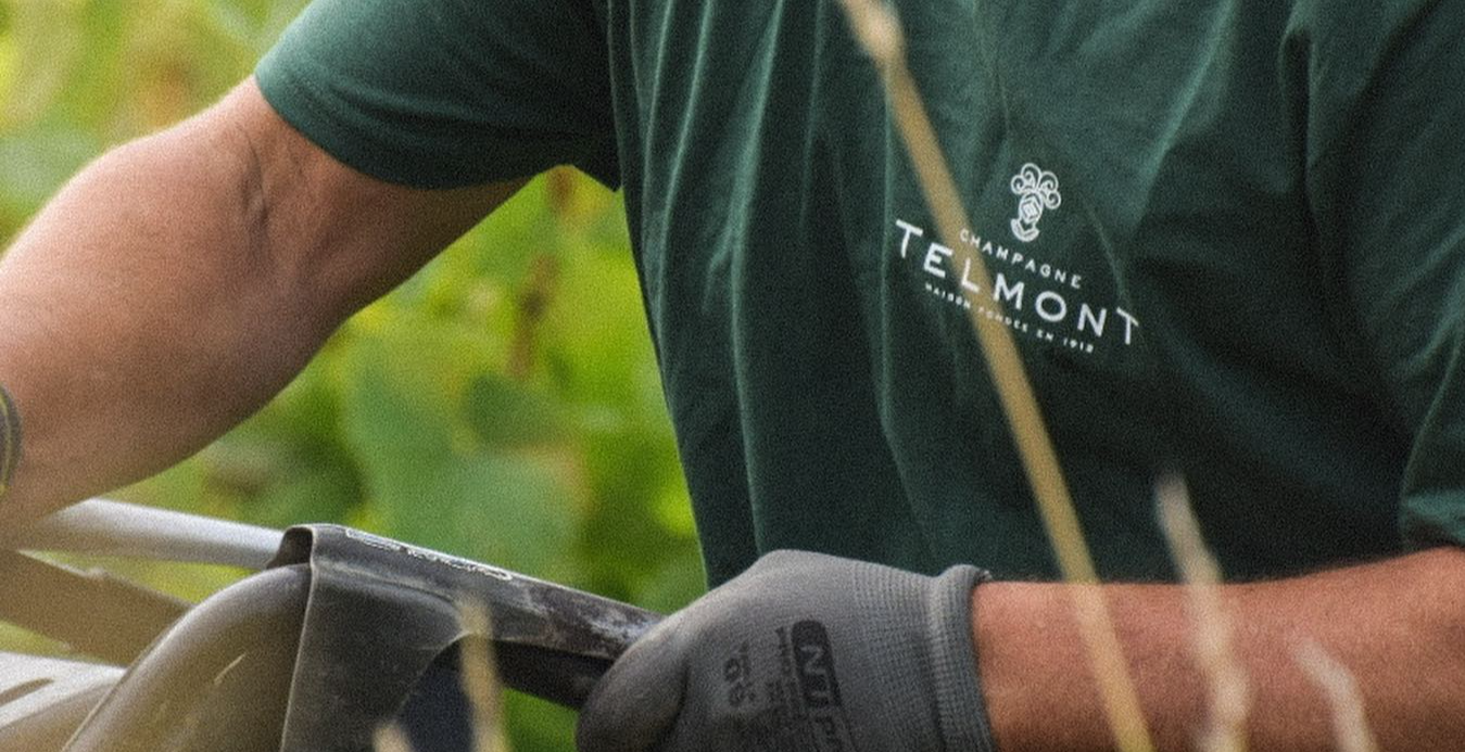 Sip & Shop with Champagne Telmont at The Whisky Exchange Great Portland Street