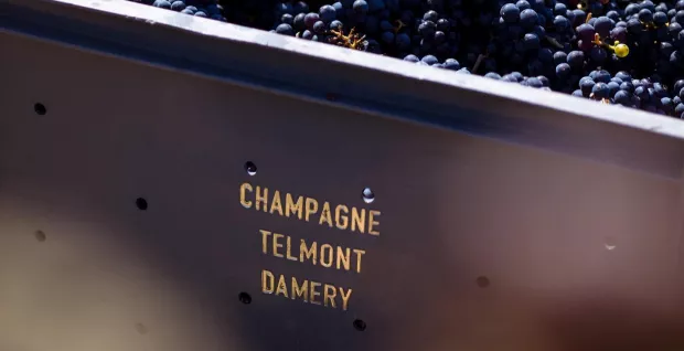 Sip & Shop with Champagne Telmont at The Whisky Exchange Covent Garden