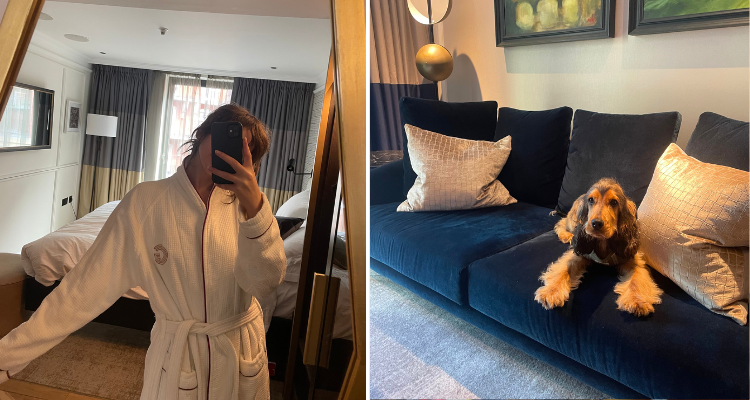 Mirror photo wearing a robe, and puppy on a sofa.