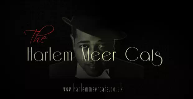 The Harlem Meer Cats