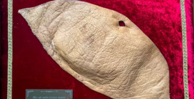 SECOND SKIN - Human leather, Mortality and Self Authorship