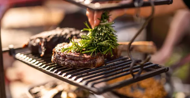 GAME BBQ DEMONSTRATION EVENING