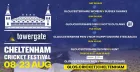 Cricket Festival