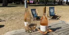 Wine & Food pairing with Maison Minuty