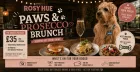 Paws & Prosecco