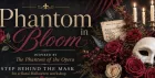 Phantom in Bloom with Fabel & Bloom