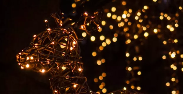 Christmas Showcase