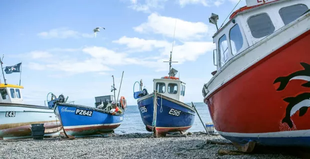 From the Sea to the Plate