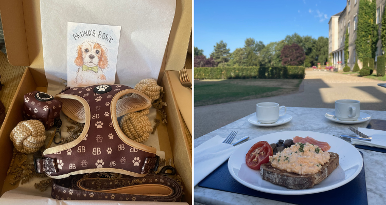 Bruno's Bow package and breakfast on the lawn.