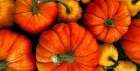 Boo-zy Pumpkin Carving