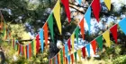 Kids Summer Carnival