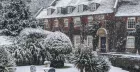 The Swan's Christmas Party