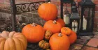 Pumpkin Carving & Halloween Crafts
