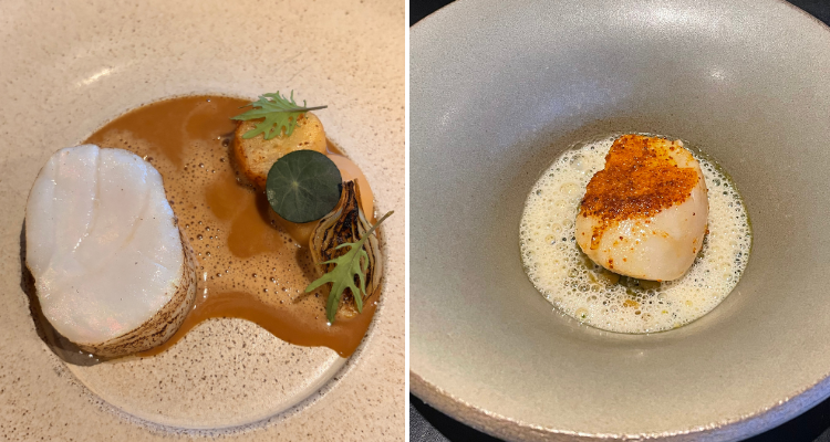 Cod and scallop at AO by Daniel Rogan.