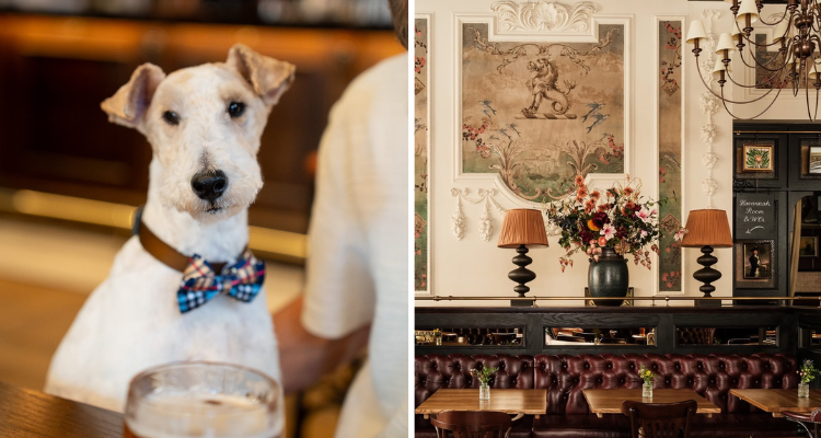 Collage of a dog and The Trafalgar in Chelsea.