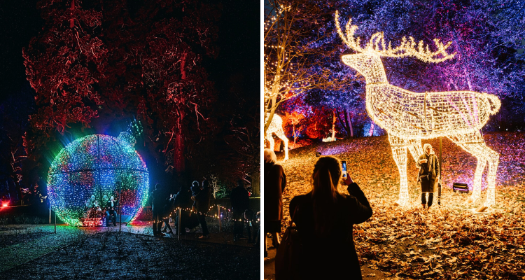 Collage of lights at Chelsea Winter Village.