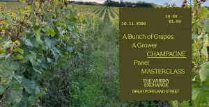 A Bunch of Grapes - A Grower Champagne Panel Masterclass