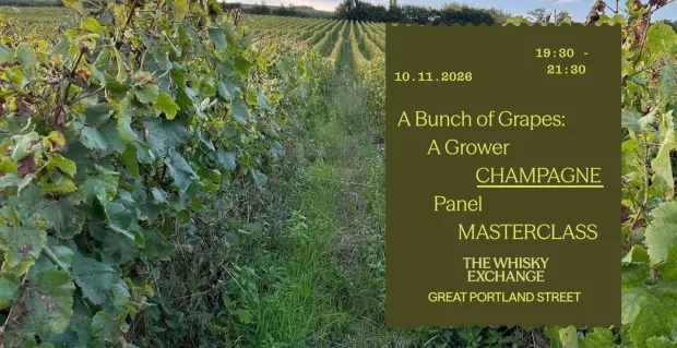 A Bunch of Grapes - A Grower Champagne Panel Masterclass