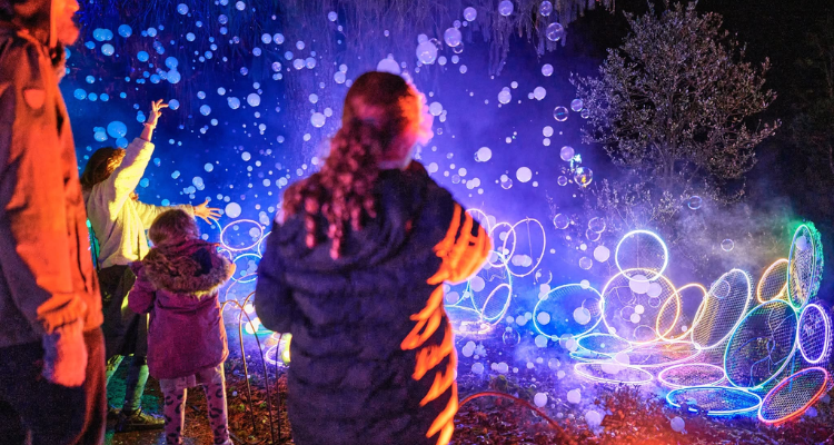 Christmas lights at Hiller Gardens.
