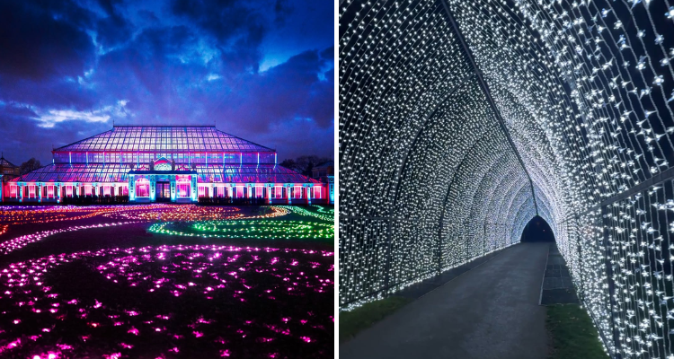 Lights at Kew Gardens.