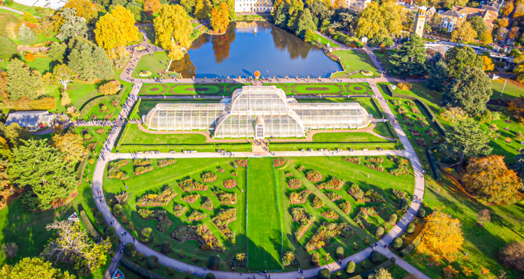 An aerial view of Kew Gardens featuring the greenhouse and fall foliage.
