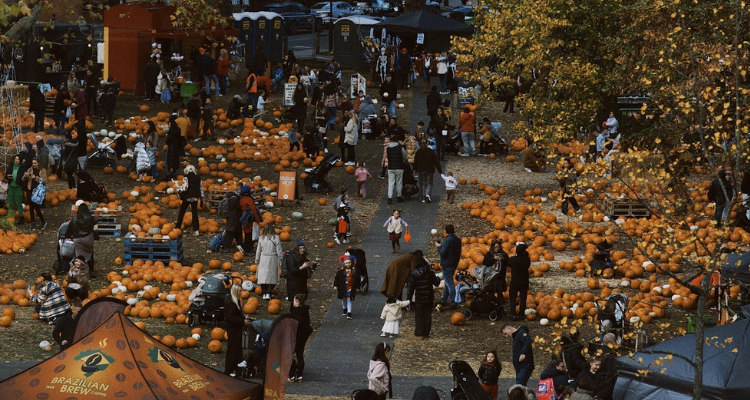 Aerial shot of children and their parents picking pumpkins in a park in London.
