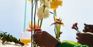 Flowers & Flow