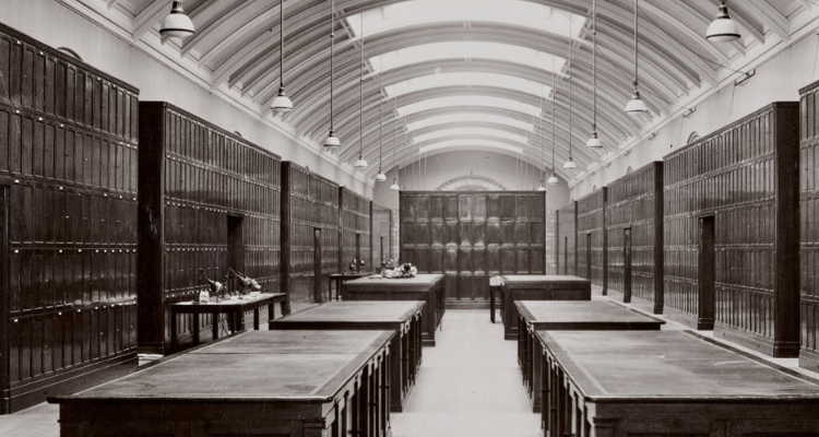 As a Herbarium in 1950 ©The Trustees of the Natural History Museum London.