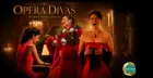 Rouge Opera Cabaret Dinner and Show