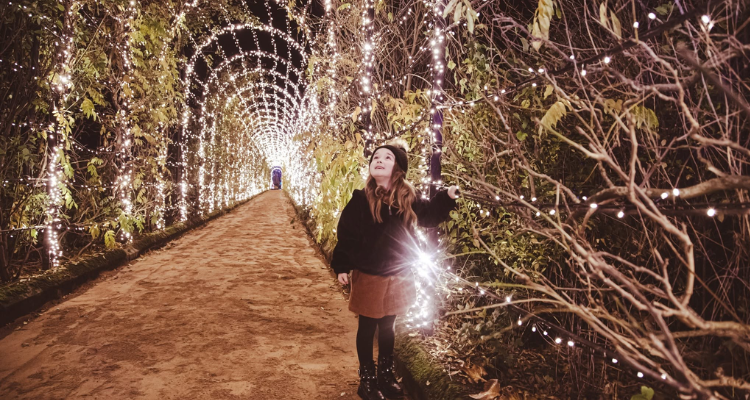 Lights on the Trentham Gardens Christmas trail.