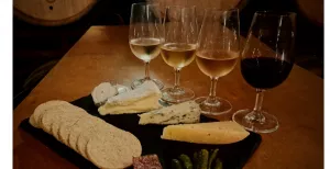 Cheese and Wine Pairing Evening