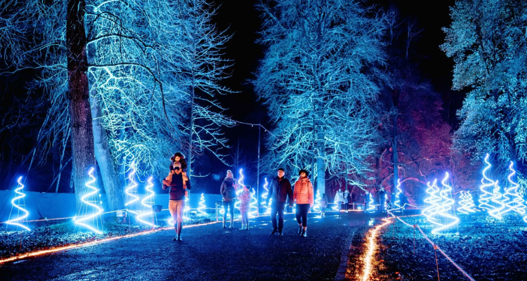 Lights at Windsor Great Park Illuminated.