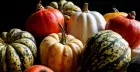 Pumpkin Carving