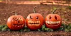Family Pumkin Carving