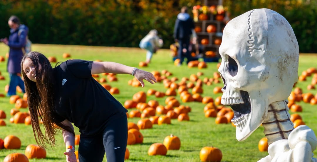 Halloween At Conifox Adventure Park